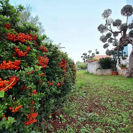 Bed & Breakfast Ernestina 2*